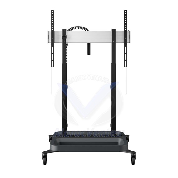 Chariot Elévateur D